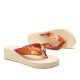 Women Clothes Band Clip Toe Platform Slippers Women Clothes Band Clip Toe Platform Slippers